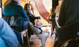 Cum îți protejezi animalul de companie primăvara? Află la Iulius Mall, în cadrul „Paw-vești cu și despre animăluțe”!