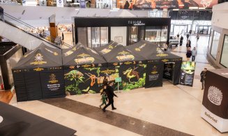 Competiție de șah pentru copii, atelier creativ de buchete de flori și Expoziție Tarantule și Reptile Vii în acest weekend, la Iulius Mall Cluj