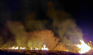 Arderea vegetației uscate, sancționată cu amenzi uriașe și chiar închisoare. Avertismentul polițiștilor clujeni