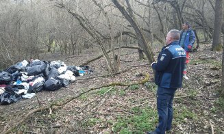 Primăria Jucu avertizează: “Nu se vor tolera deșeurile abandonate în păduri”