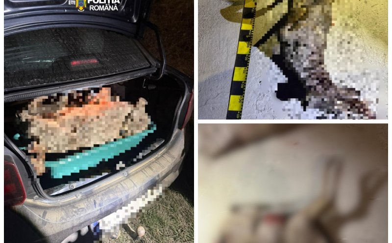 Scene de groază în Cluj: ce au găsit polițiștii în portbagajul unei mașini, la 01:30 noaptea