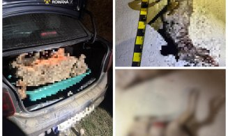 Scene de groază în Cluj: ce au găsit polițiștii în portbagajul unei mașini, la 01:30 noaptea