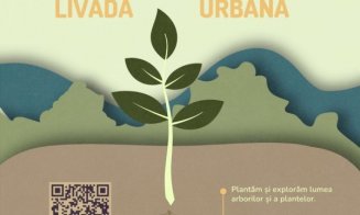 Meri, cireși și pruni în cartierele Clujului: livezi urbane în Iris și Someșeni  - Primăria invită clujenii la plantare