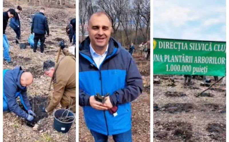 Forță civică pentru natură: mii de puieți plantați la Cluj. Viceprimarul Tarcea: “Extinderea spațiilor verzi, o direcție constantă”