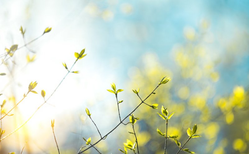 Prognoza de la meteorologi: Cum va fi vremea de Florii și de Paște