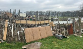 Primăria Dej desființează grădinile improvizate din cartiere