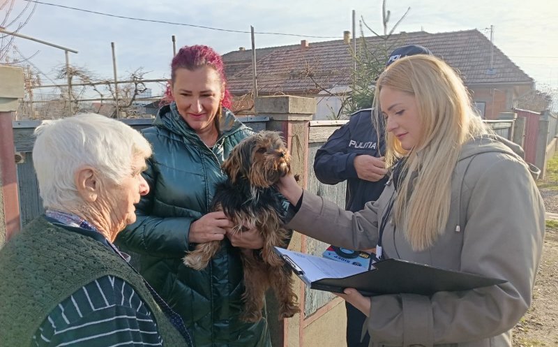 Programul de microcipare și sterilizare a câinilor, extins la nivelul întregului județ. Servicii gratuite pentru clujeni