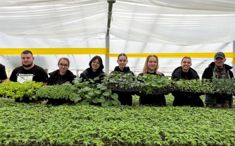 Răsaduri de la 2 lei bucata, la Cluj-Napoca. Peste 200 de soiuri de legume,