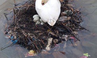 ”Nu ne revenim din chestia asta???” / ”Dar noi, ce facem? Adică mereu altul să ne scoată din cacat?!” / ”Vinovați sunt exact cetățenii”