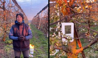 Fermierul din Cluj care a „ars” 40.000 de euro într-o noapte ca să salveze cireșii de îngheț, ATACAT pe net / Adio ”fii mai bun de Paști și de Crăciun