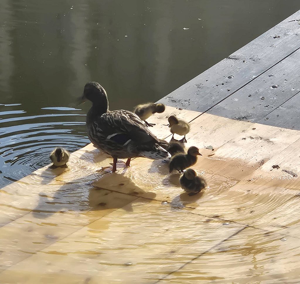 Ce avem noi aici? Noutăți în Parcul Mare :)