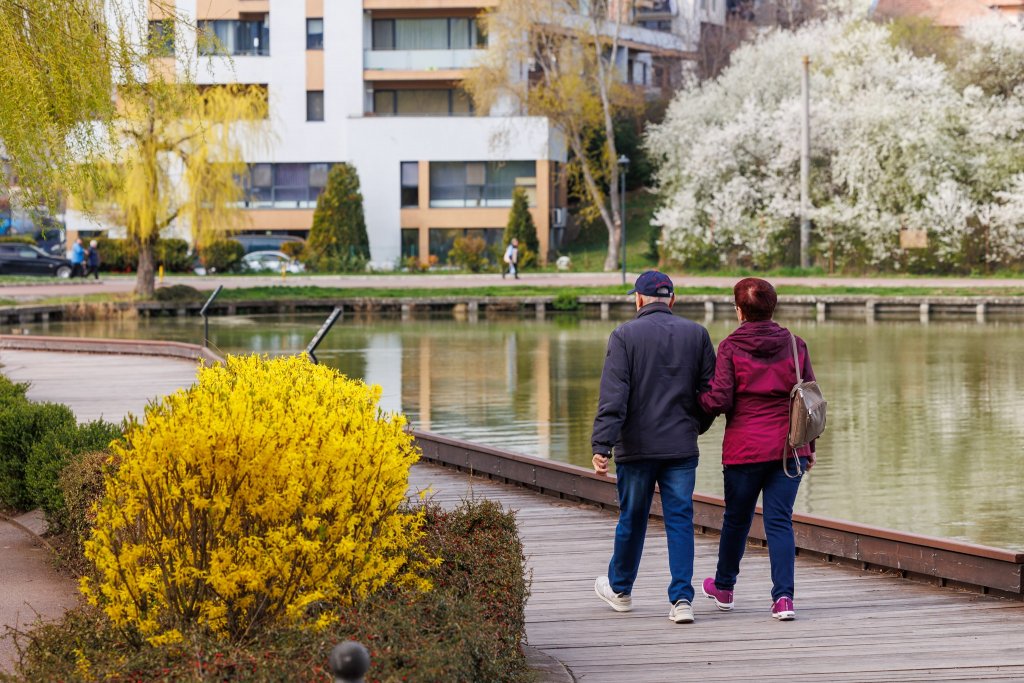 Câți pensionari are România în 2026 și cât este pensia medie - diferențe mari între categorii