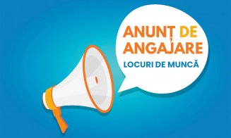 Anunț de angajare: Antrenor secund de fotbal profesionist, licenta A UEFA