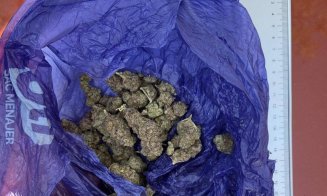 Tânăr prins sub influența substanțelor interzise, în zona Pădurii Hoia. S-a speriat de jandarmi