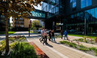 Începutul de carieră în 2026: Câți bani câștigă tinerii cu experiență zero / Mai e IT-ul drumul sigur către salarii mari?