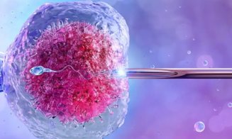 Programul FIV merge mai departe: 15.000 de lei pentru fertilizare in vitro și în 2026