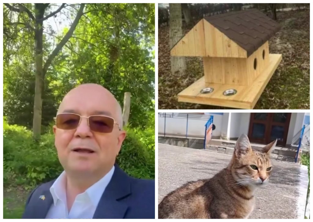 Cluj-Napoca va avea căsuțe pentru pisicile fără stăpân. Ce spune Emil Boc