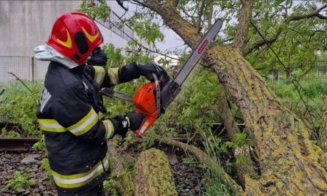 Rafale puternice în Cluj: arbore în pericol de cădere și incendiu de vegetație alimentat de vânt