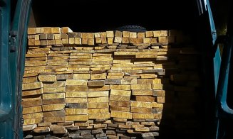 Ghinion pentru un bunic! Tras pe dreapta în miez de noapte, cu lemne „în plus” în dubă