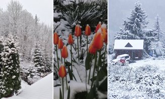 Minivacanță de 1 Mai pe pârtie! La munte a nins la munte și s-a așternut strat de zăpadă
