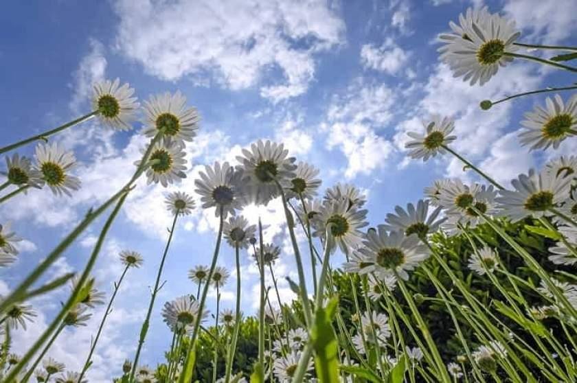 Prognoza meteo pentru luna mai. Cum începe vara meteorologică în România