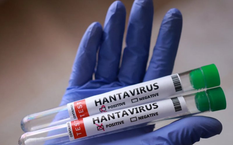 Focarul de hantavirus. Încă un cetățean britanic suspect de infectare/ Stewardesa olandeză nu are virusul