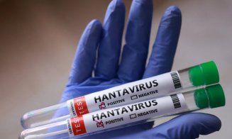 Focarul de hantavirus. Încă un cetățean britanic suspect de infectare/ Stewardesa olandeză nu are virusul