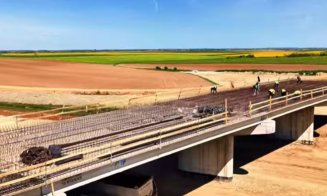 Șantier în forță pe Autostrada Transilvania: sute de muncitori și utilaje pe Chiribiș–Biharia / Stadiul lucrărilor