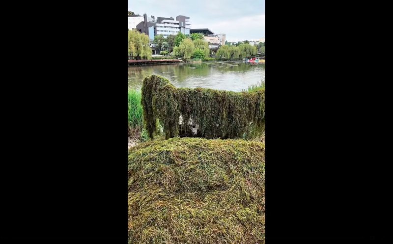 S-a curățat lacul din Gheorgheni