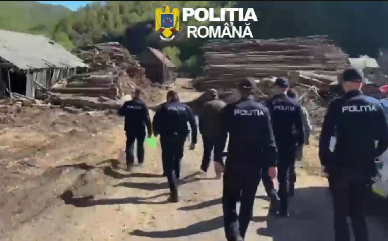 Controale la un depozit de lemne din Cluj: diferențe uriașe între stocul scriptic și cel real