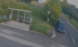 Alertă urs în Dezmir! Animalul a fost văzut lângă stația de autobuz de la școală