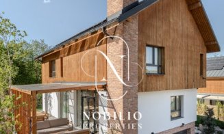 Cât trebuie să scoți din buzunar dacă vrei să locuiești într-o vilă de lux în Făget