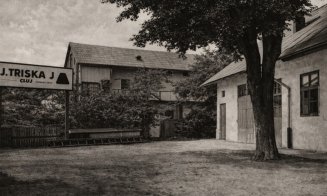 Atelierul de reparații piane al firmei J. Triska, care se afla în capătul Grădinii Stadler, de pe actuala str. Sindicatelor, anii '20