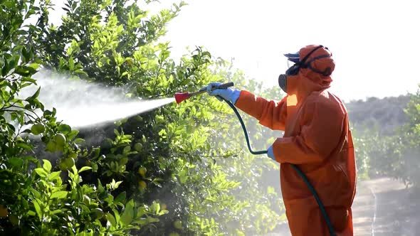 Avertisment: Un pesticid comun este asociat cu leziuni cerebrale ascunse