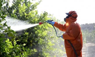Avertisment: Un pesticid comun este asociat cu leziuni cerebrale ascunse