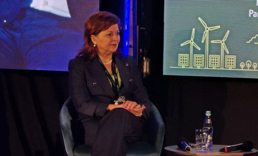 TGEF 2026 | Rețelele de distribuție, esențiale pentru tranziția verde. Mihaela Suciu, DEER: „Fără investiții, energia produsă nu poate fi preluată”