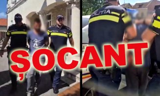 Caz ȘOCANT la Cluj: Tânăr de 23 de ani arestat pentru acte sexuale cu animale / A violat un vițel și apoi a înfipt furca în el