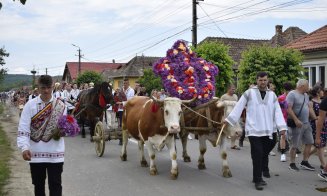 ”Înstruțatul boului” în statele din Transilvania de Rusalii, o reminiscență a unor credințe străvechi