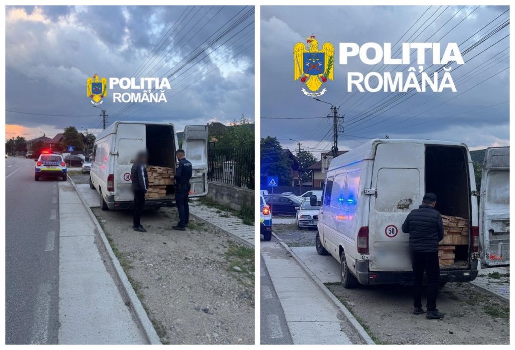 Transport ilegal de lemn în Cluj: șofer lăsat fără marfă, dar să vezi ce amendă a primit