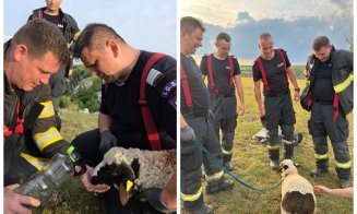 Misiune de salvare inedită în Cheile Turenilor: pompierii clujeni au salvat un miel căzut într-o râpă de peste 20 de metri