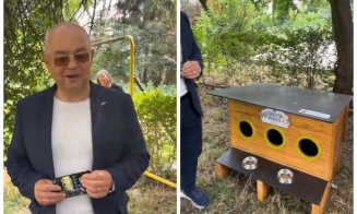 Primele căsuțe pentru pisicile fără stăpân au apărut în Cluj-Napoca. Emil Boc: "Clujenii iubesc animalele"