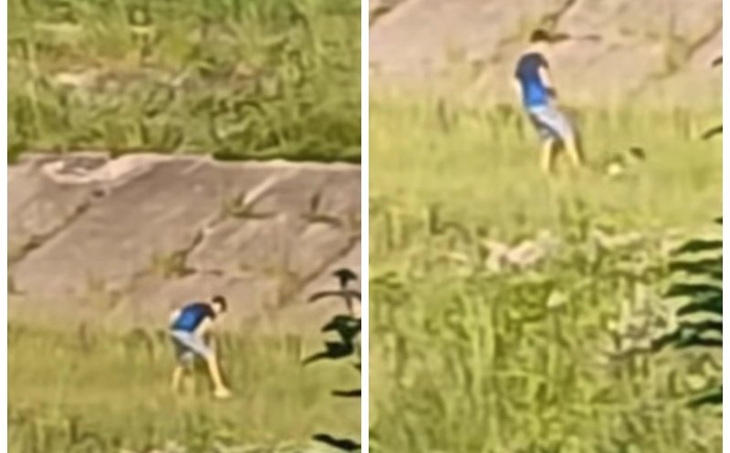 Imagini greu de privit în Cluj. Un adolescent a fost filmat în timp ce lovea fără oprire un câine / Ce măsuri a luat Poliția