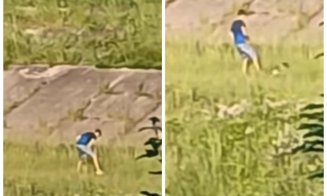 Imagini greu de privit în Cluj. Un adolescent a fost filmat în timp ce lovea fără oprire un câine / Ce măsuri a luat Poliția