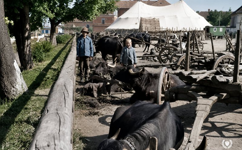 Piața Mihai Viteazu în anul 1941 (Al Doilea Război Mondial)