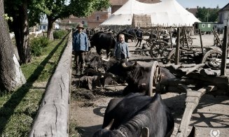 Piața Mihai Viteazu în anul 1941 (Al Doilea Război Mondial)