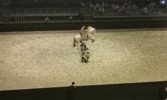 Spectacol ecvestru Sports Festival 2026