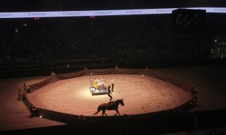 Spectacol ecvestru Sports Festival 2026