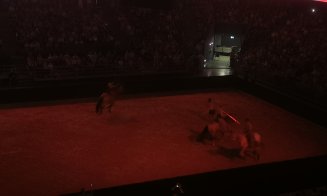 Spectacol ecvestru Sports Festival 2026