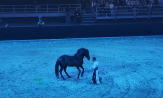 Spectacol ecvestru Sports Festival 2026