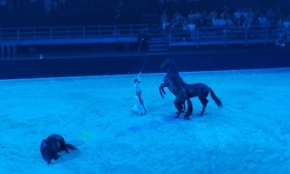 Spectacol ecvestru Sports Festival 2026